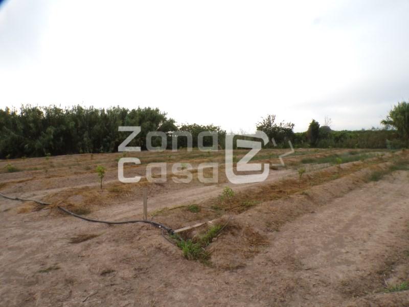 Finca en Venta en Albalat de la Ribera