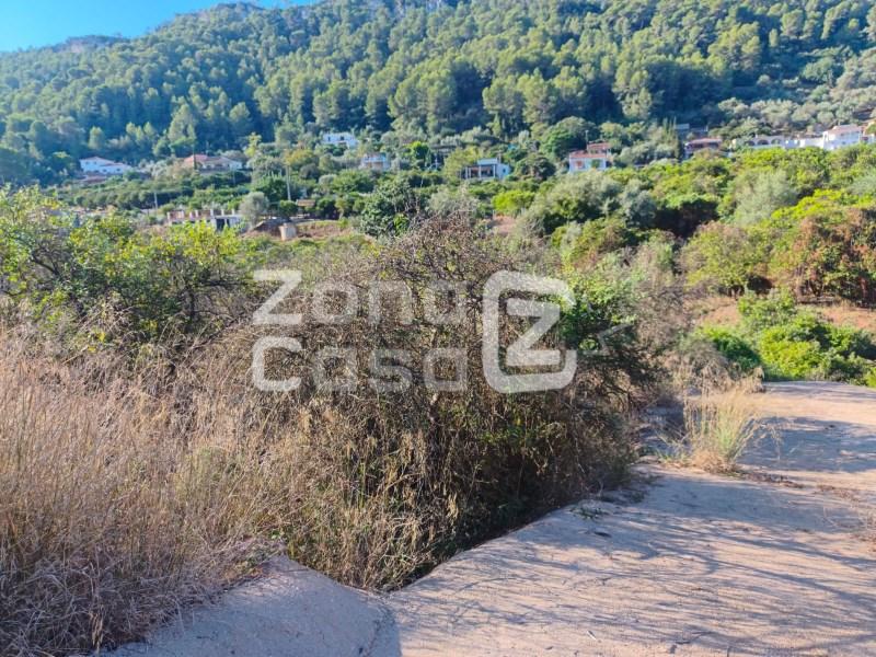 Finca en Venta en Alzira