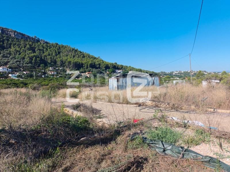 Finca en Venta en Alzira
