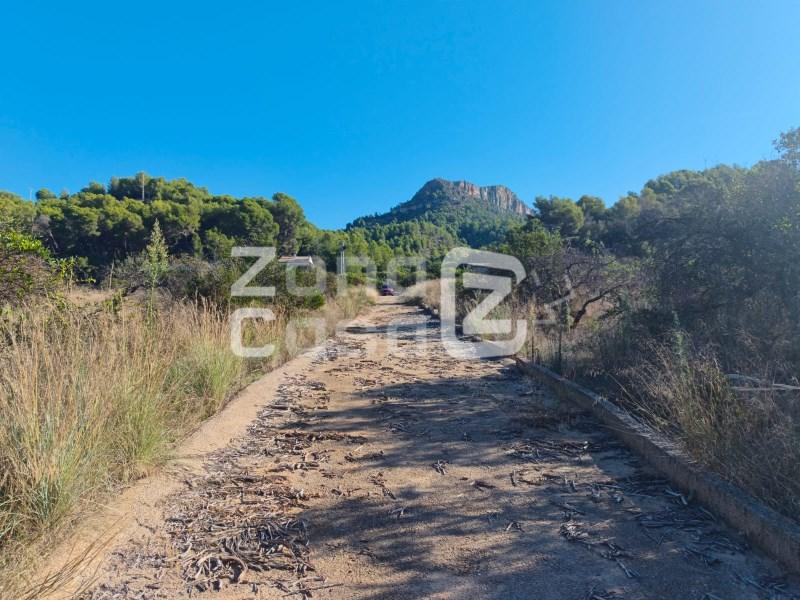Finca en Venta en Alzira