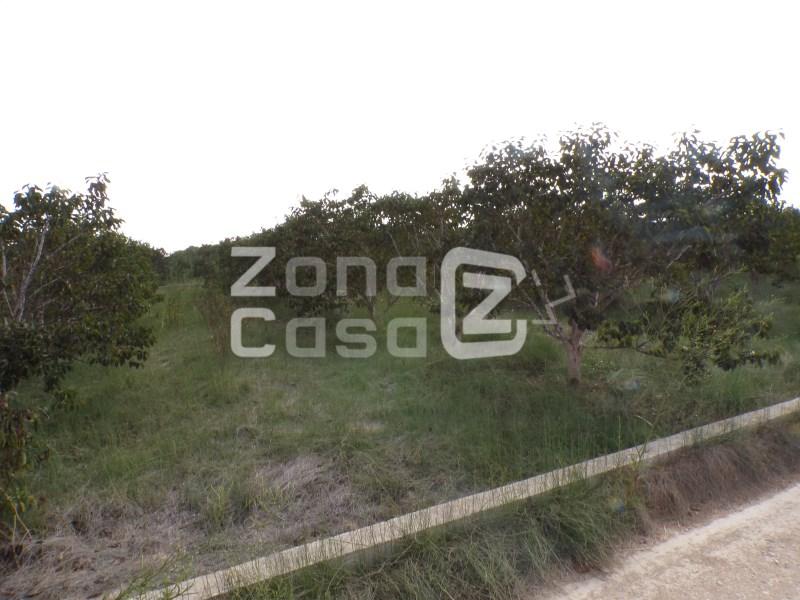 Country Property for Sale in Carcaixent