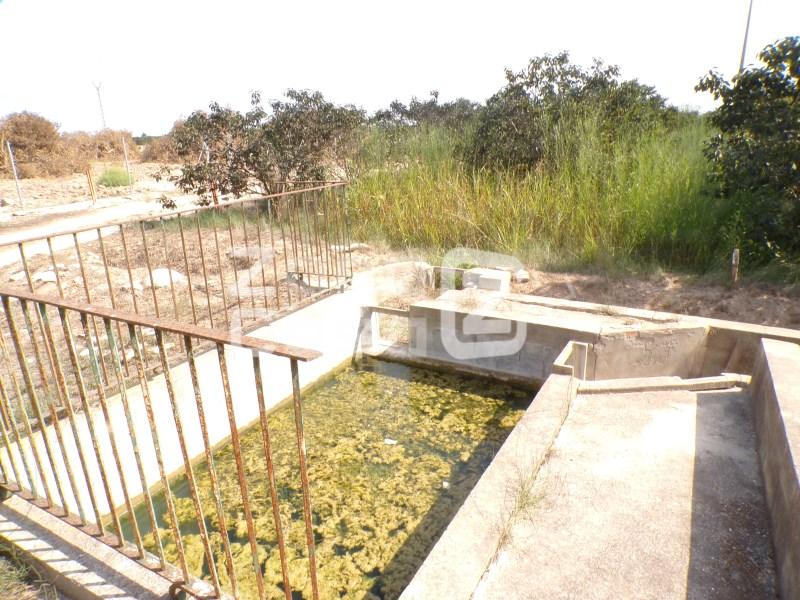 Country Property for Sale in Carcaixent