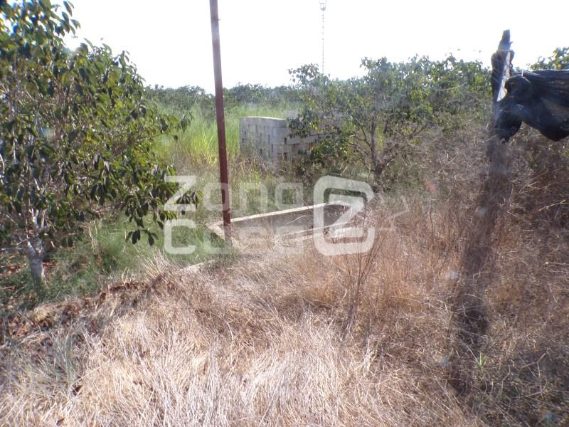 Country Property for Sale in Carcaixent