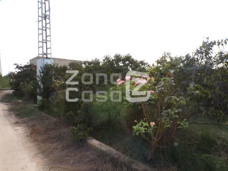 Country Property for Sale in Carcaixent