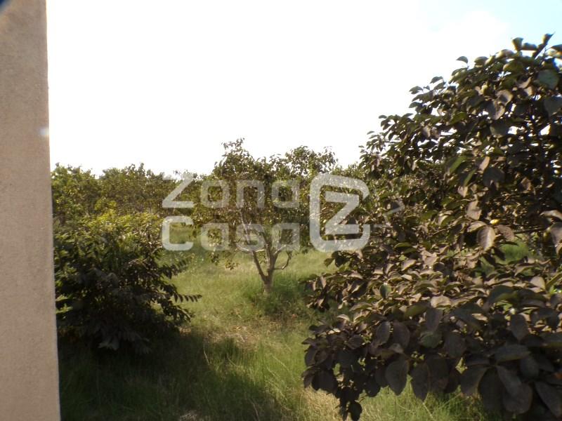 Country Property for Sale in Carcaixent