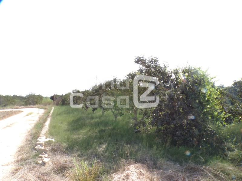 Country Property for Sale in Carcaixent