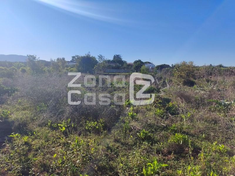 Finca en Venta en Alzira