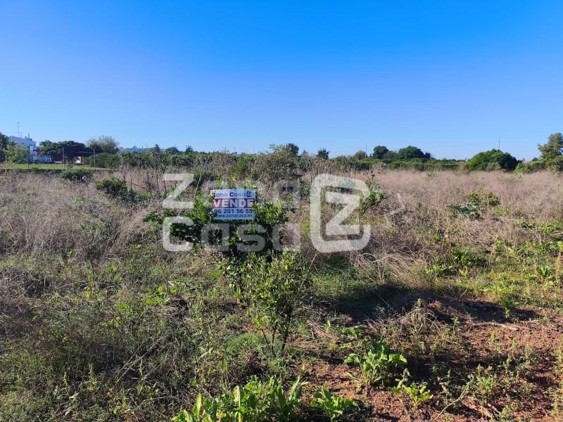 Finca en Venta en Alzira