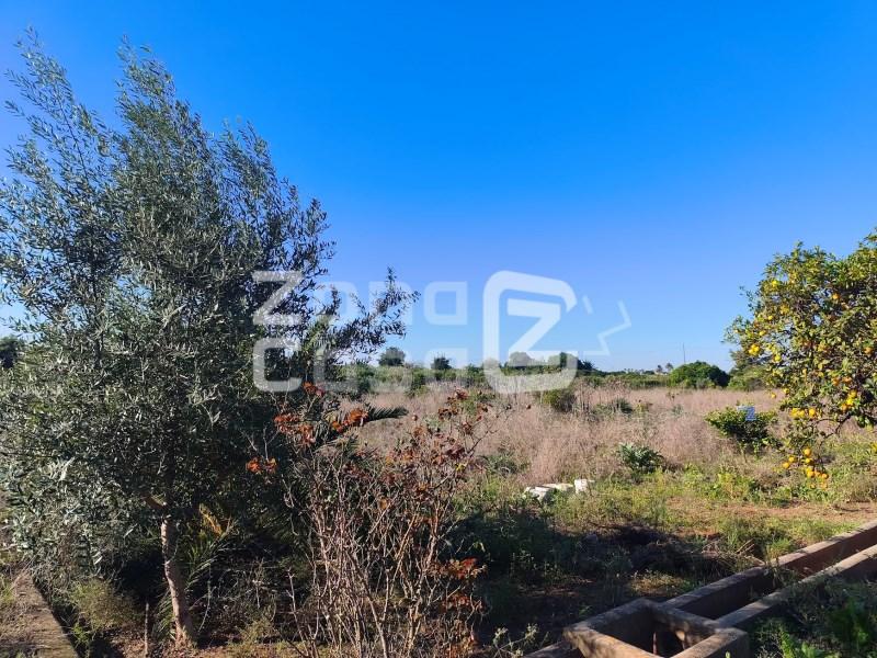 Finca en Venta en Alzira