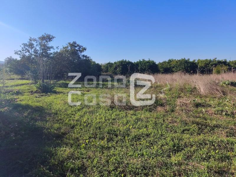 Finca en Venta en Alzira