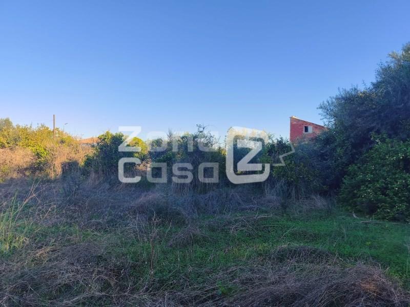 Finca en Venta en Alzira