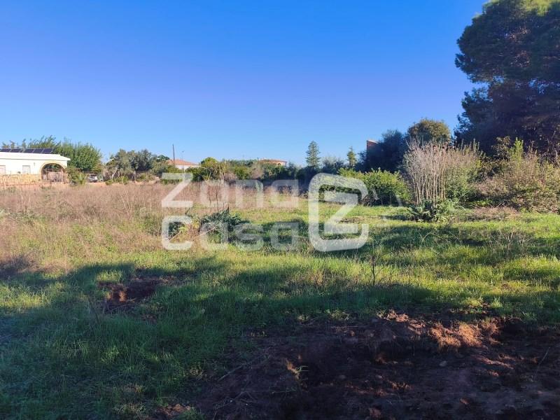 Finca en Venta en Alzira