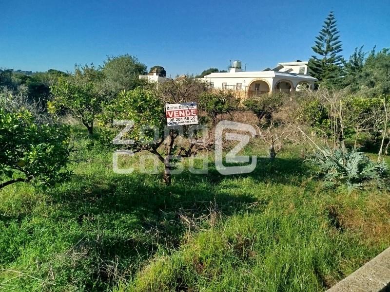 Finca en Venta en Alzira