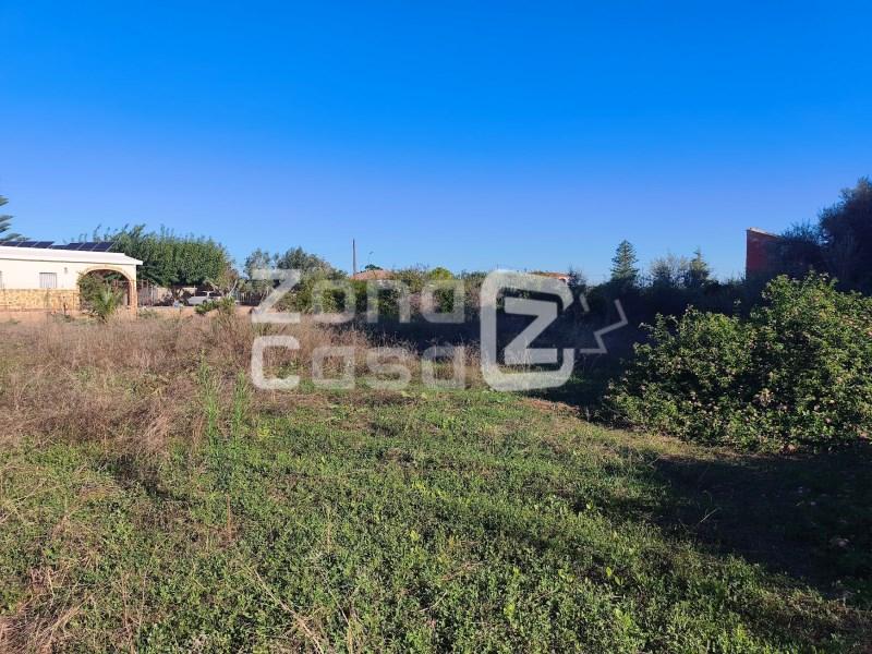 Finca en Venta en Alzira
