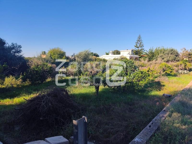 Finca en Venta en Alzira