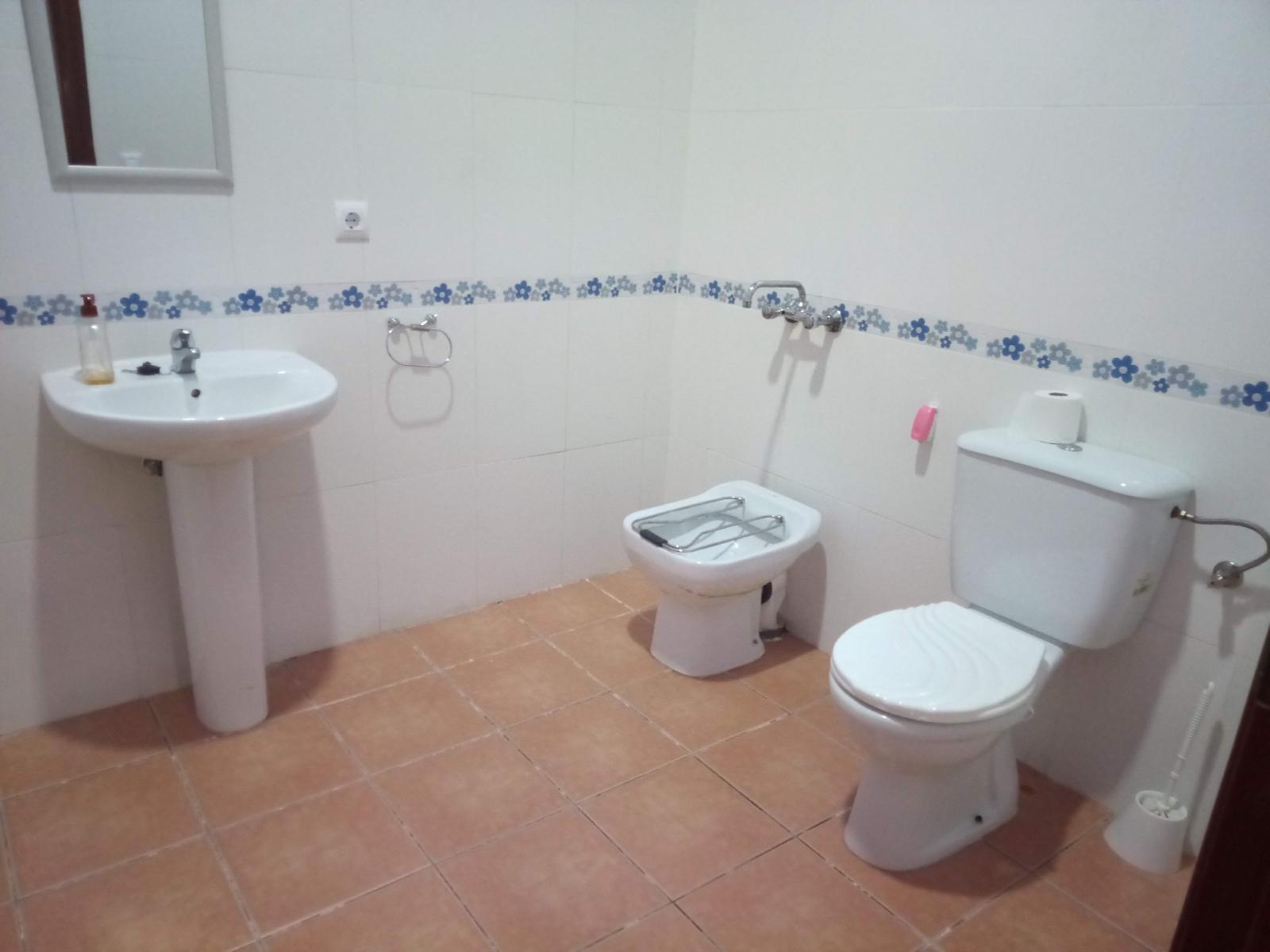 Premise for Sale in Monesterio