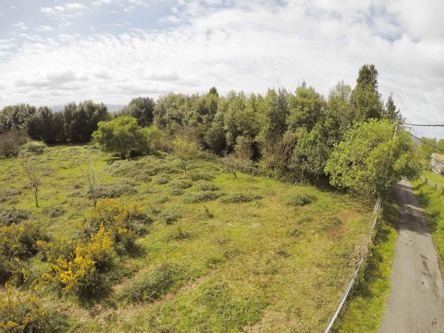 Finca en Venta en Siero