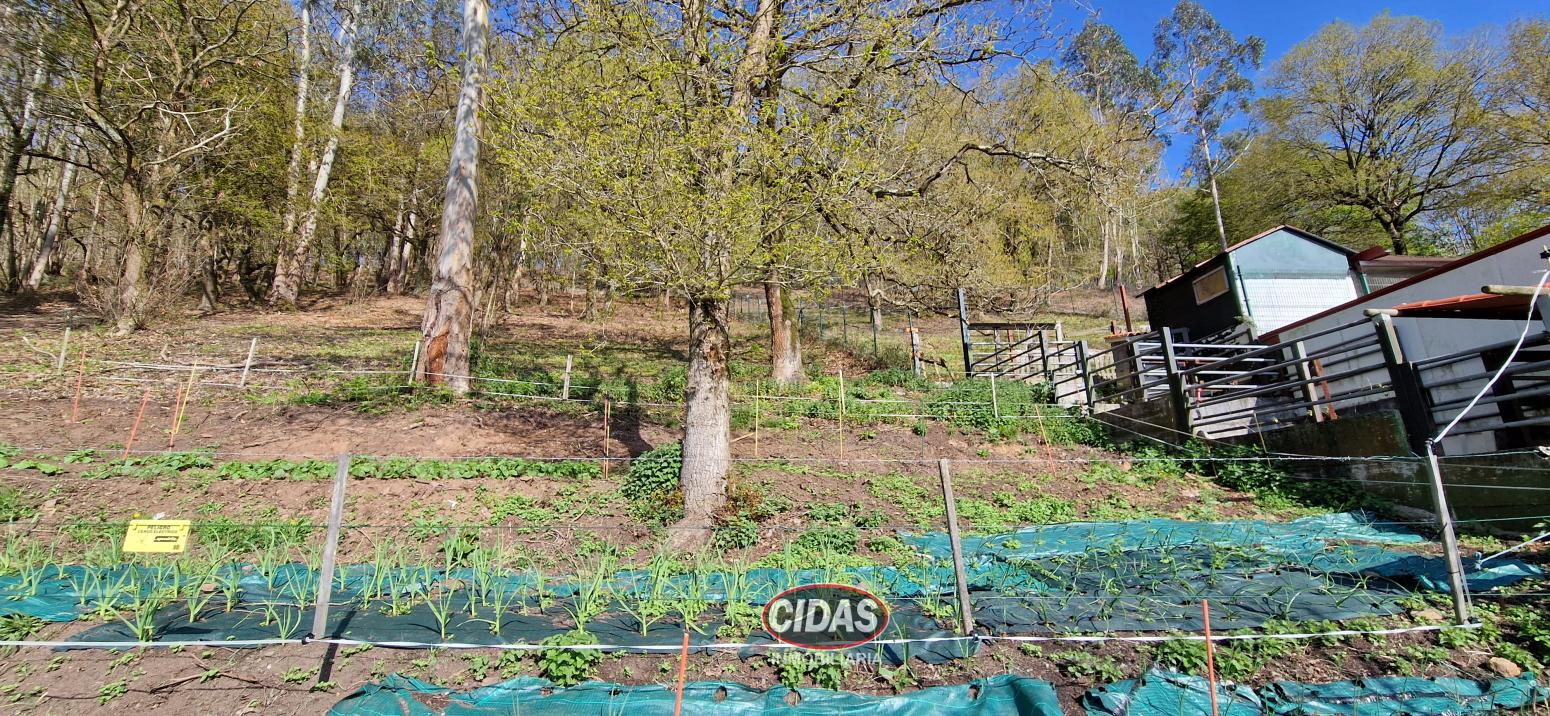 Casa en Venta en Ribera de Arriba