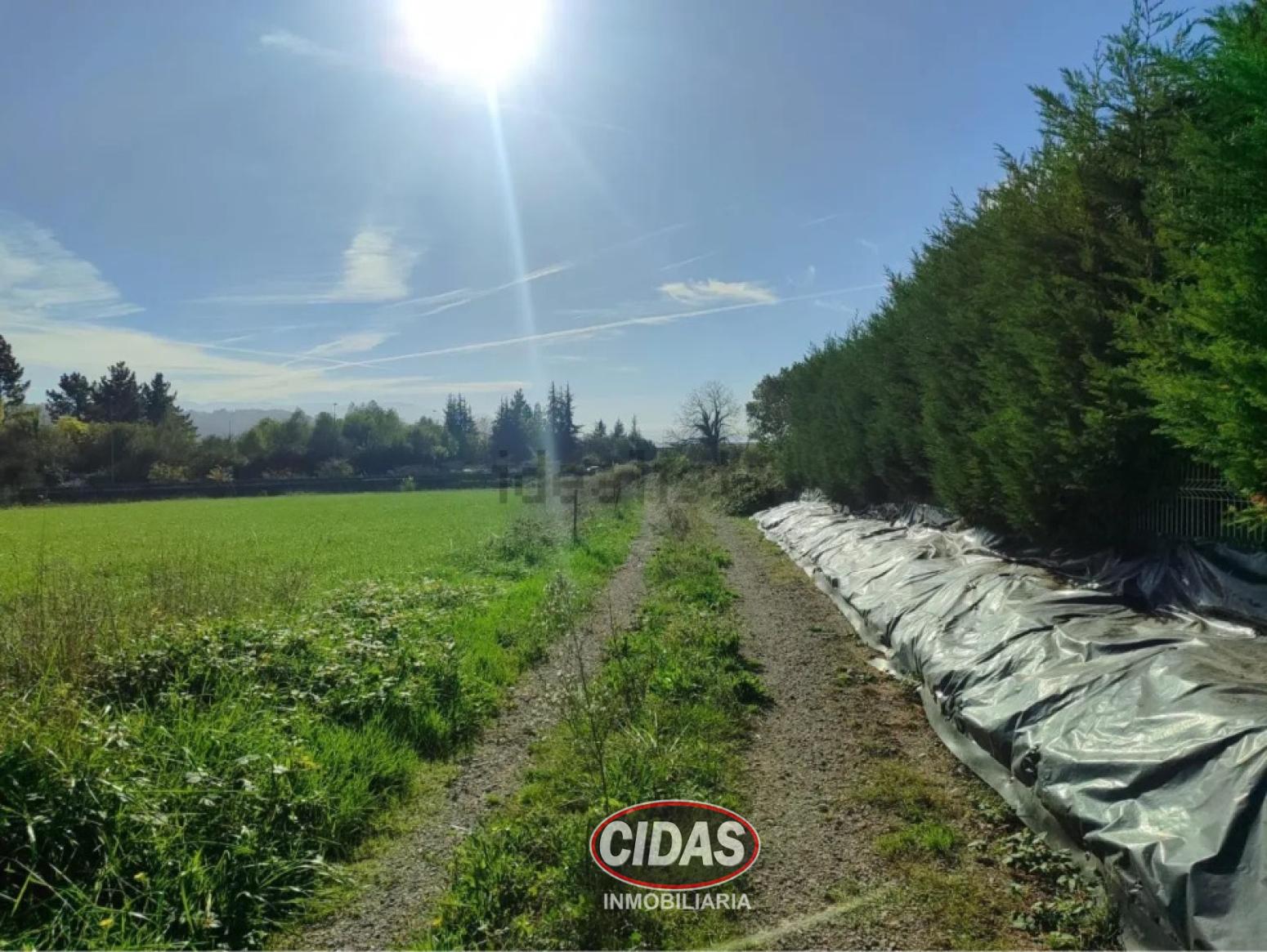 Finca en Venta en Villaviciosa