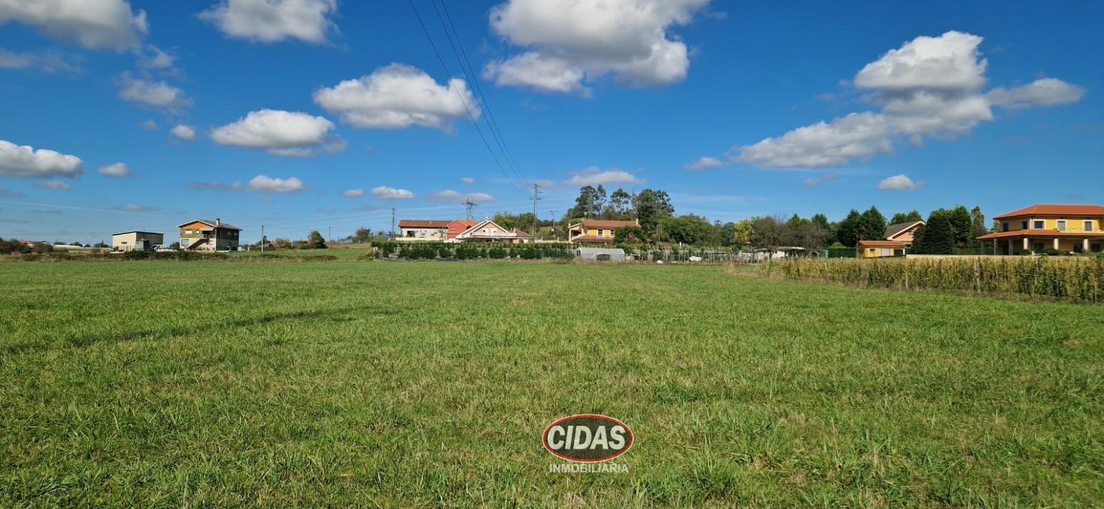 Finca en Venta en Villaviciosa