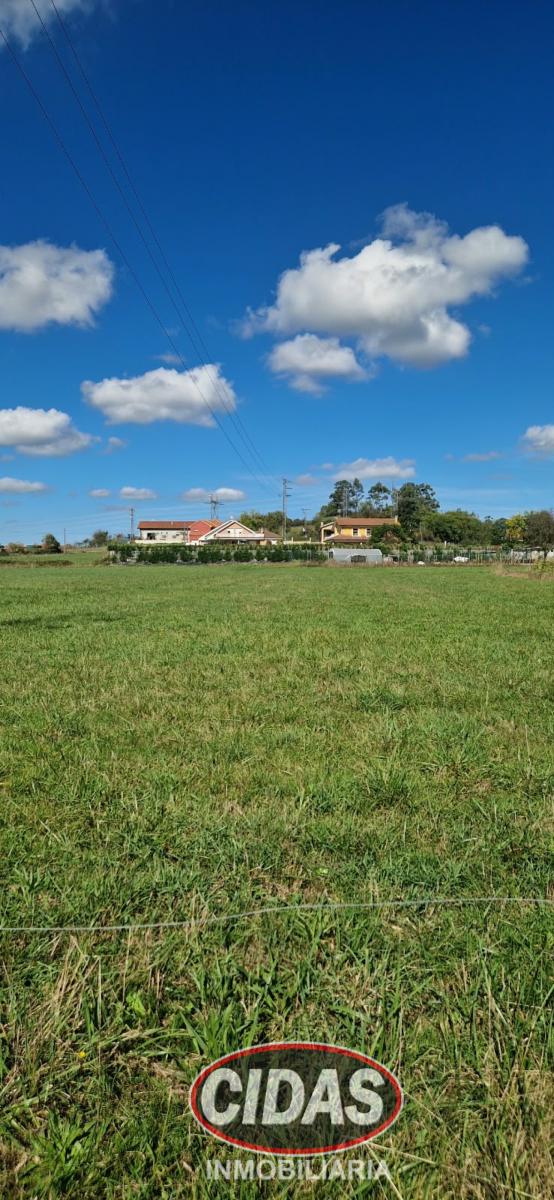 Finca en Venta en Villaviciosa