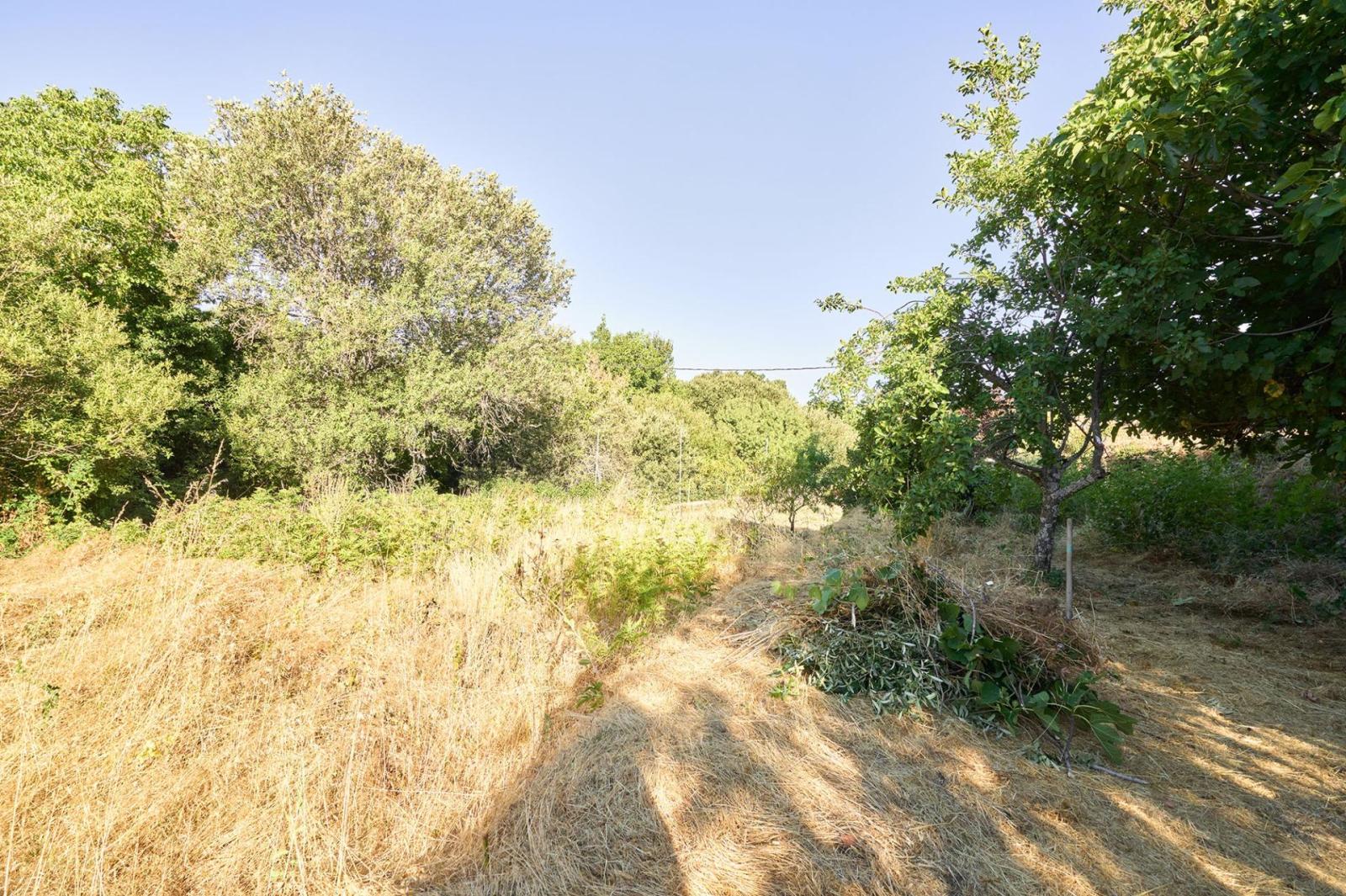 Chalet for Sale in Navacarros