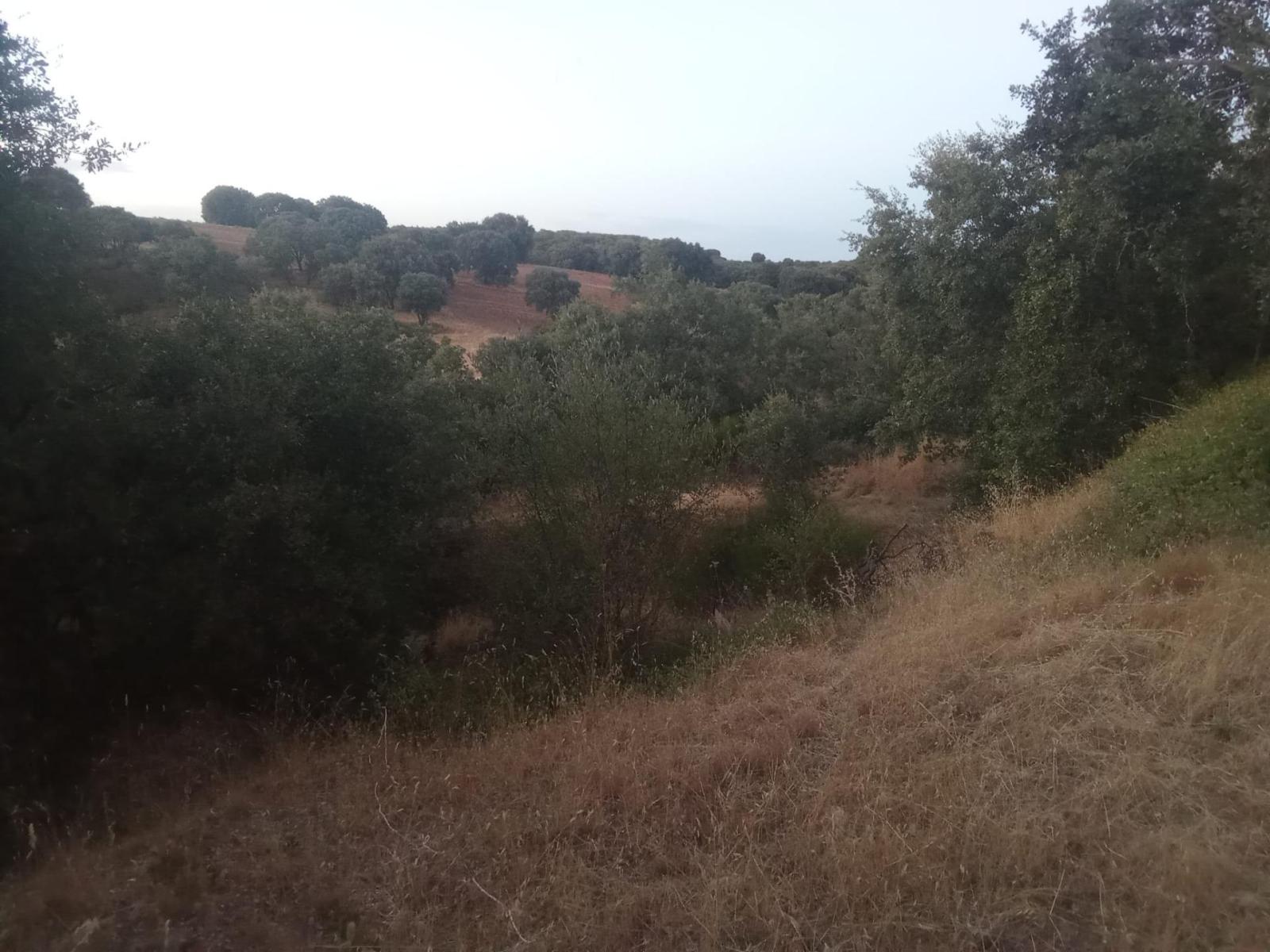 Plot for Sale in Ponferrada