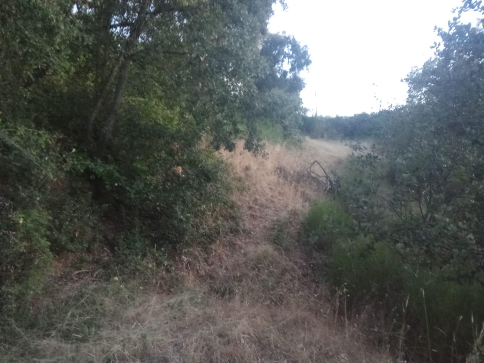 Plot for Sale in Ponferrada