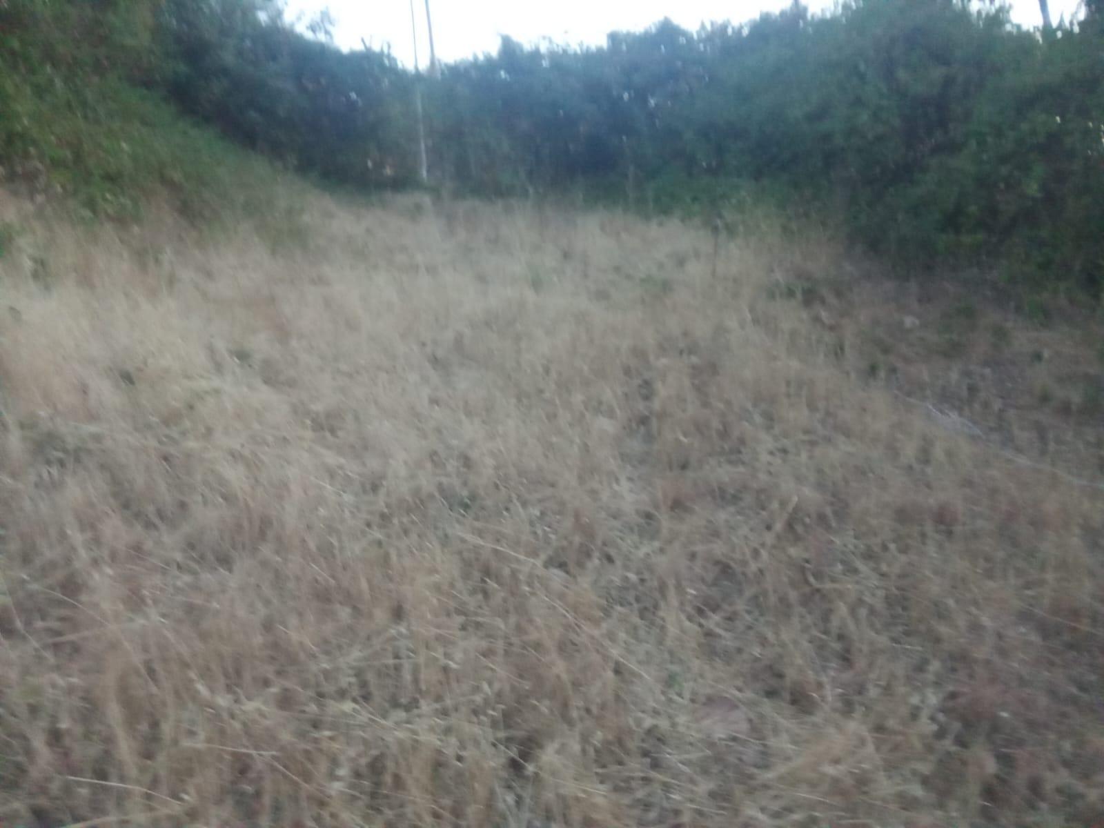 Plot for Sale in Ponferrada