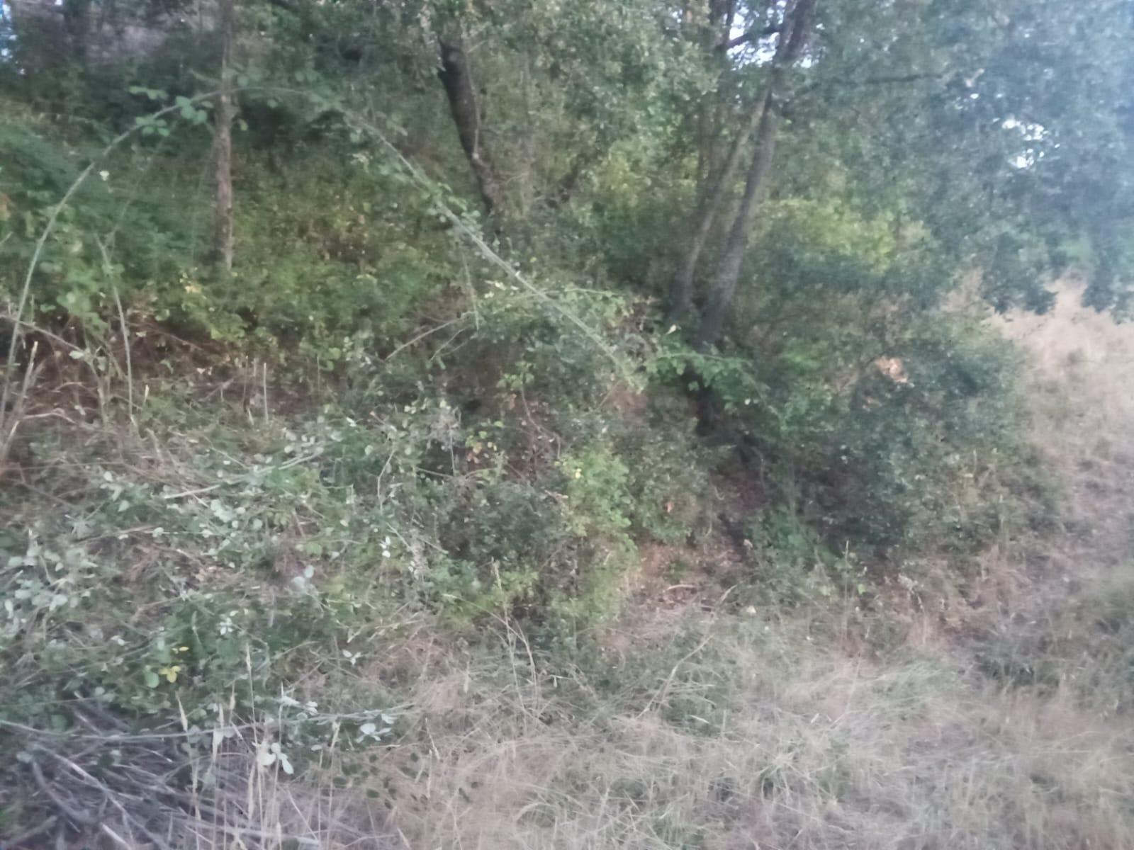 Plot for Sale in Ponferrada