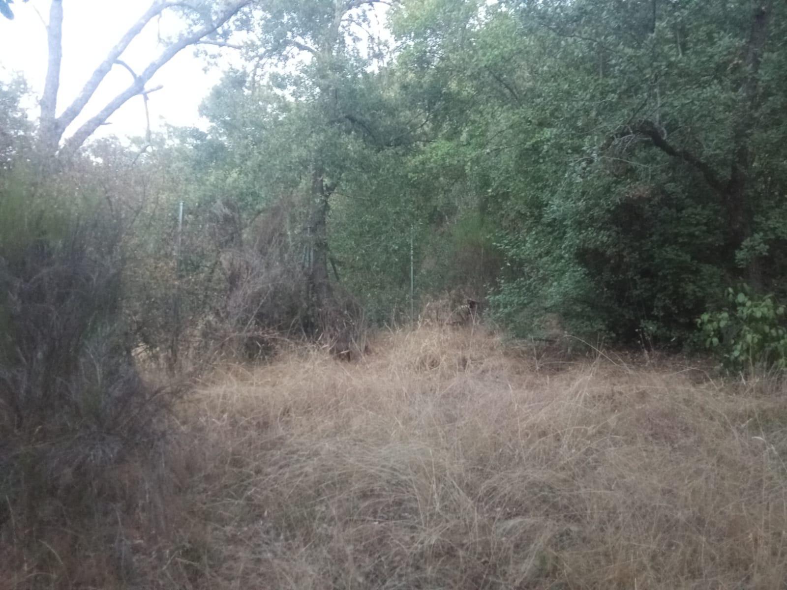 Plot for Sale in Ponferrada