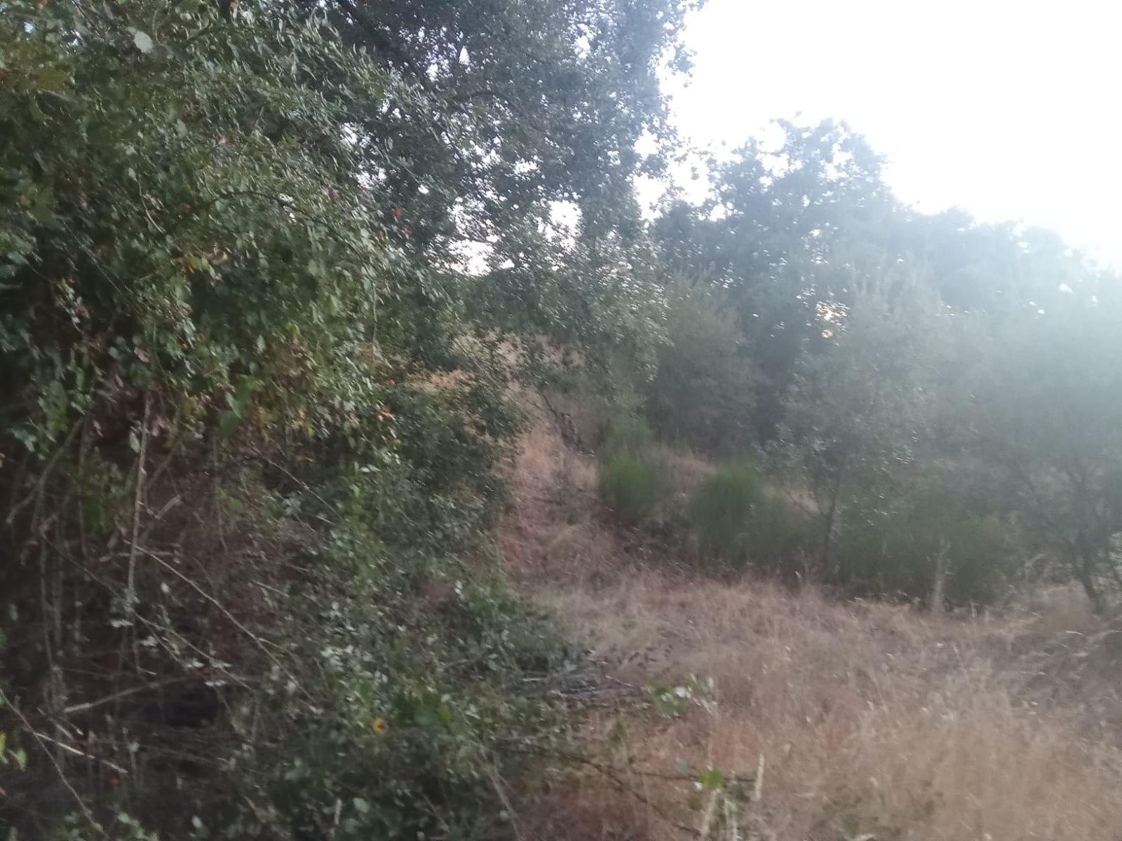 Plot for Sale in Ponferrada