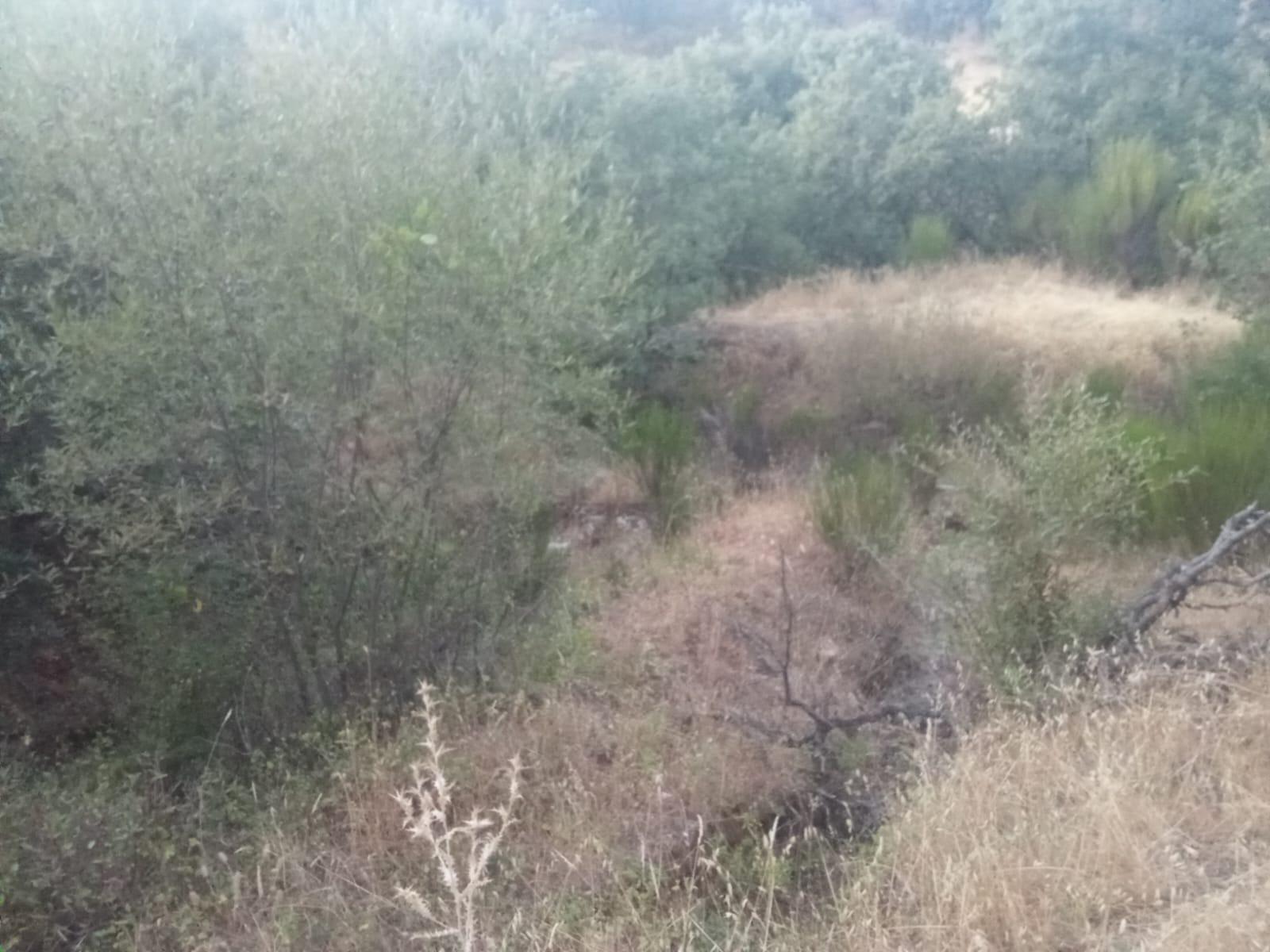 Plot for Sale in Ponferrada