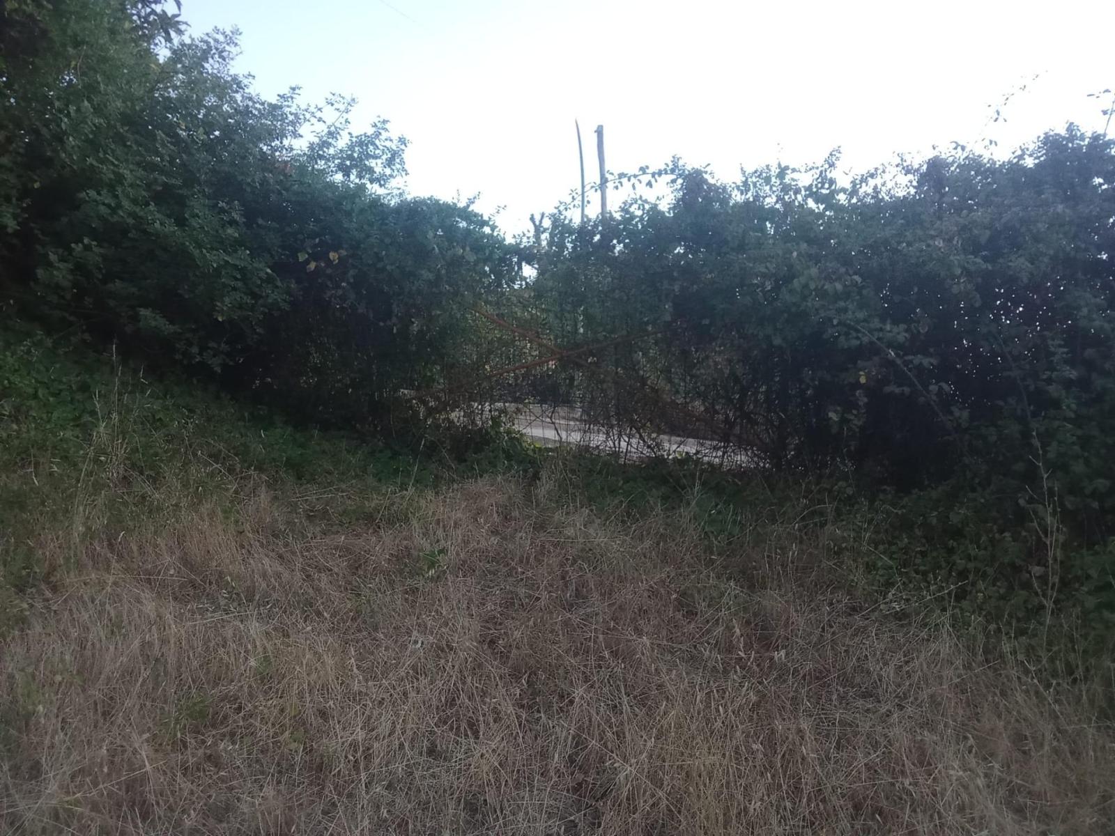 Plot for Sale in Ponferrada