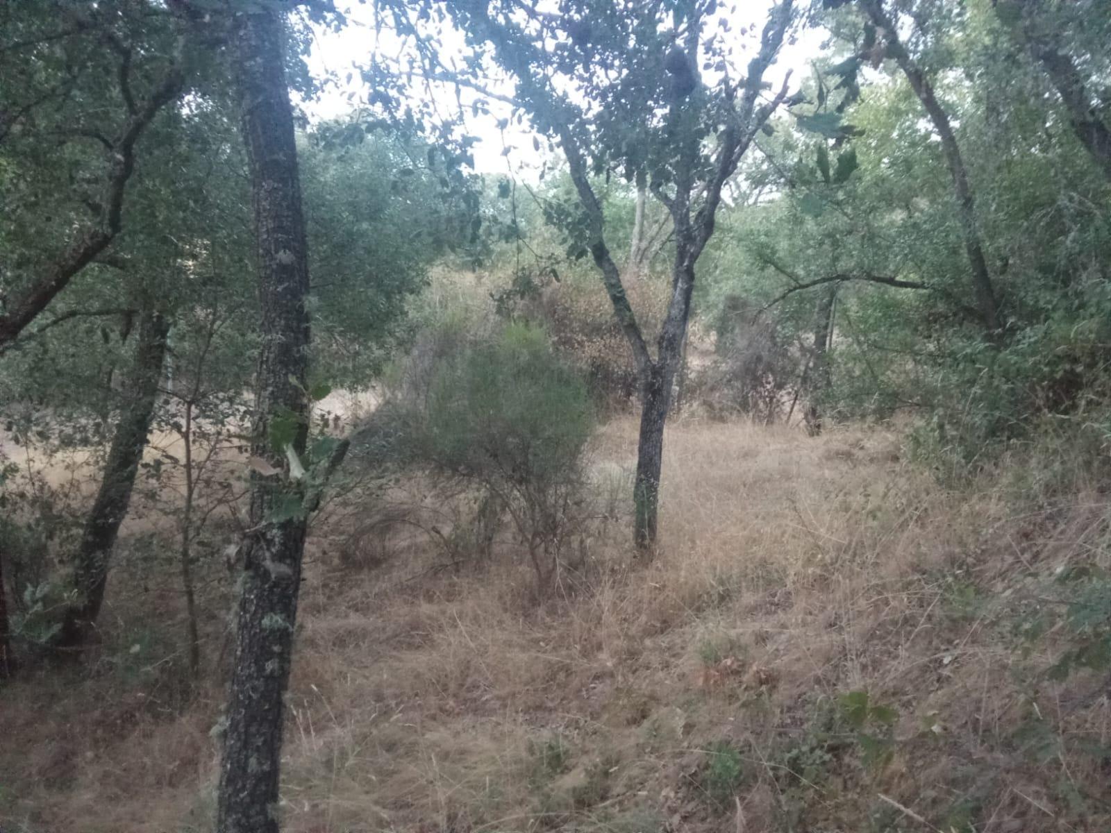 Plot for Sale in Ponferrada