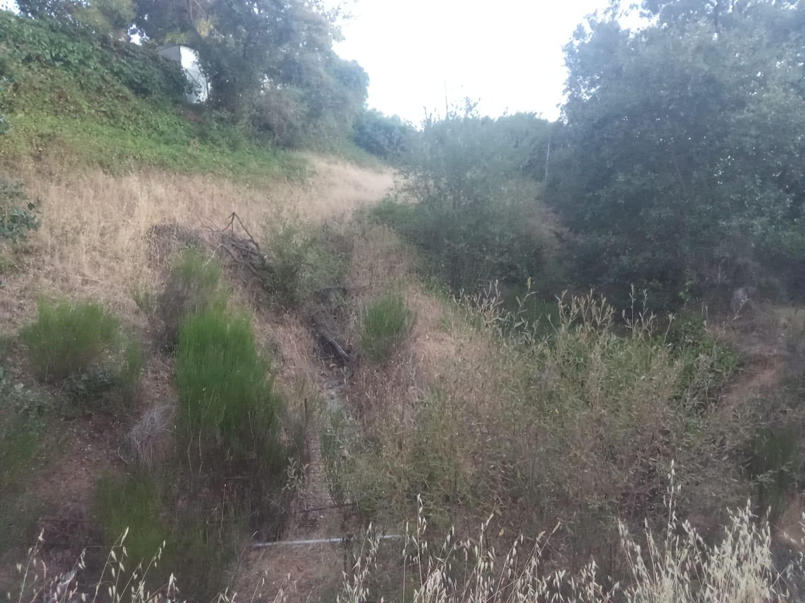 Plot for Sale in Ponferrada