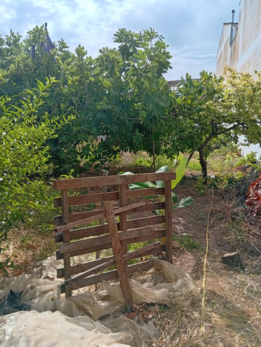 Chalet en Venta en Ayamonte