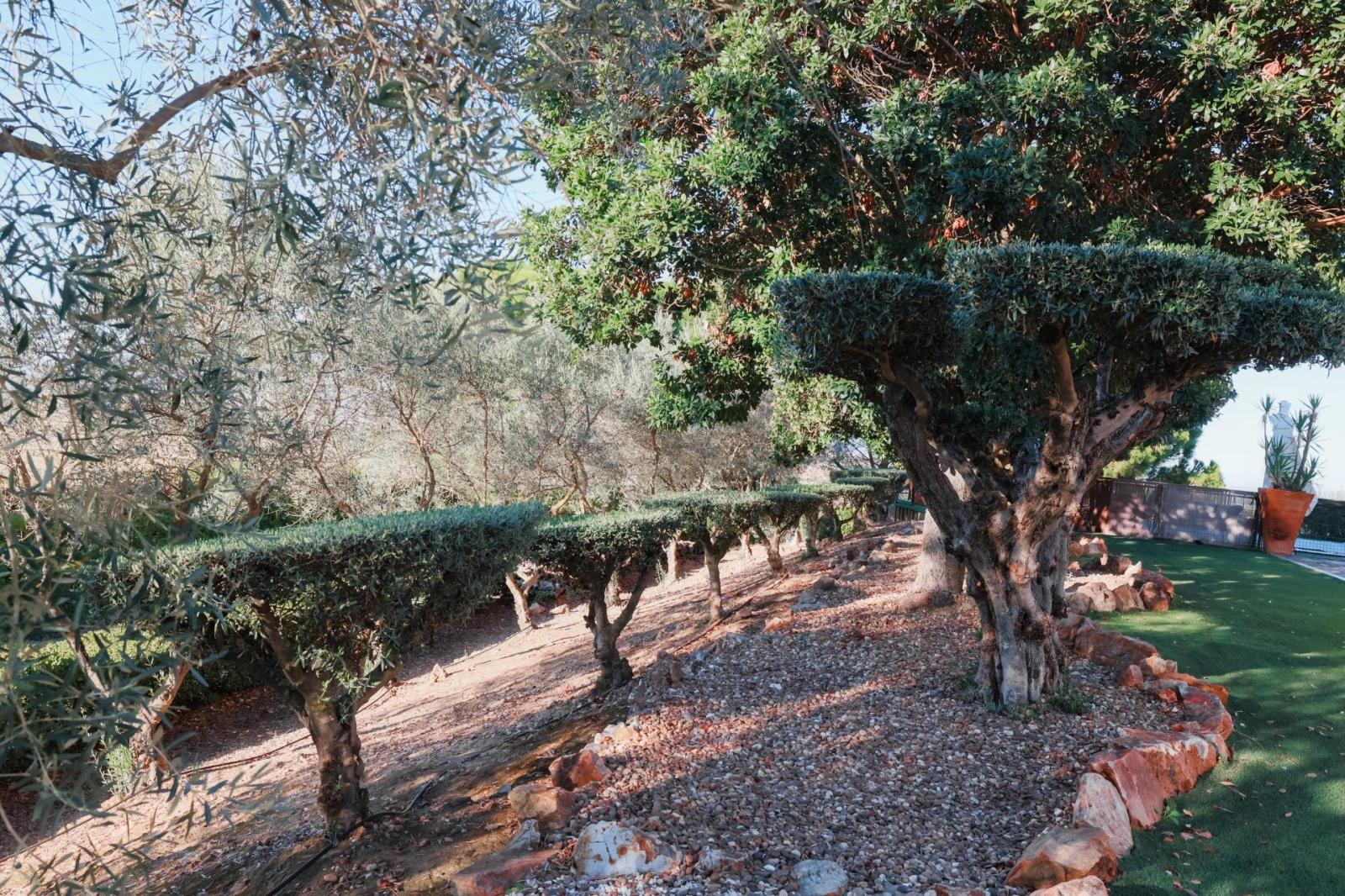 Chalet for Sale in Don Benito