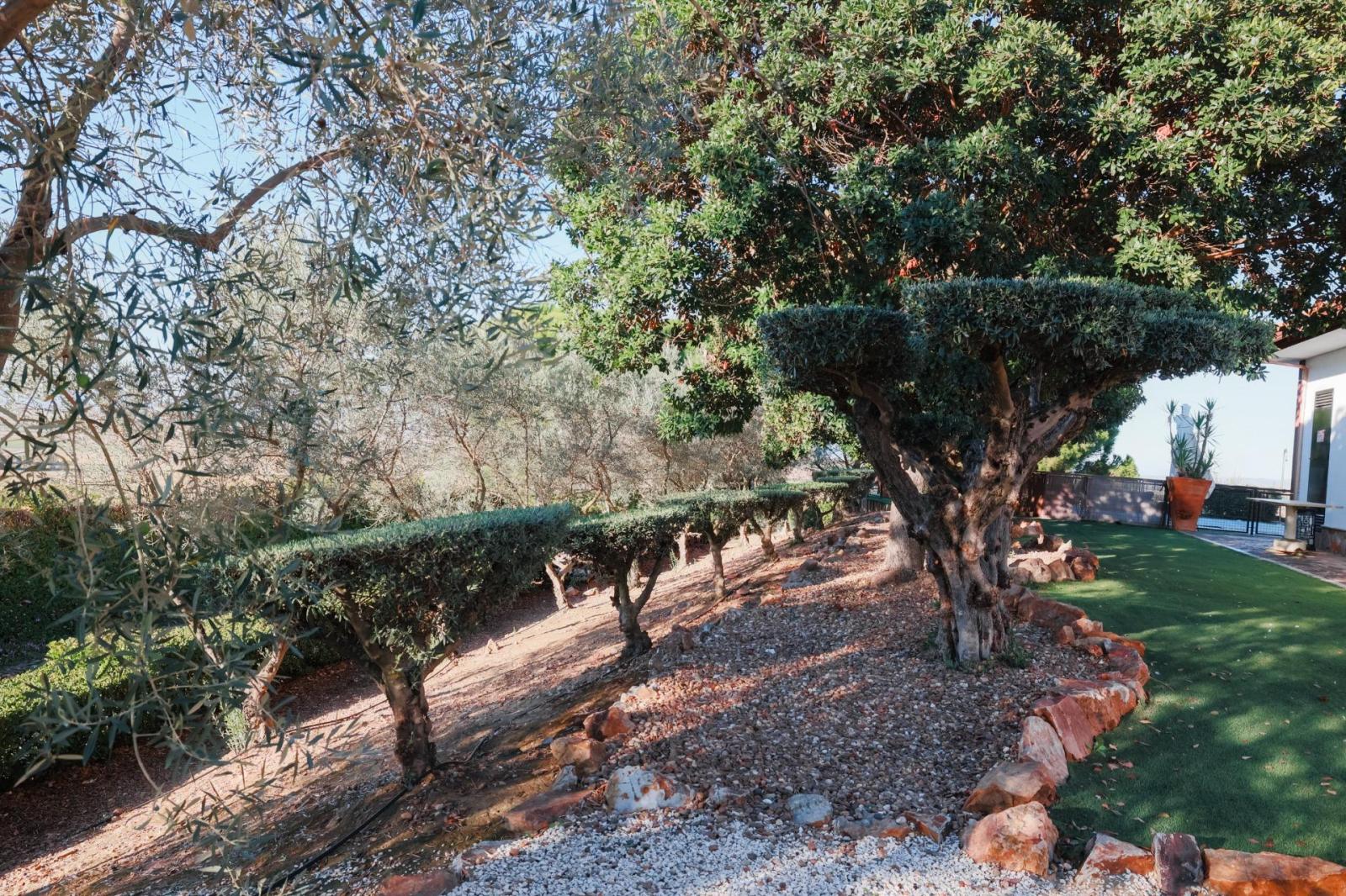 Chalet for Sale in Don Benito