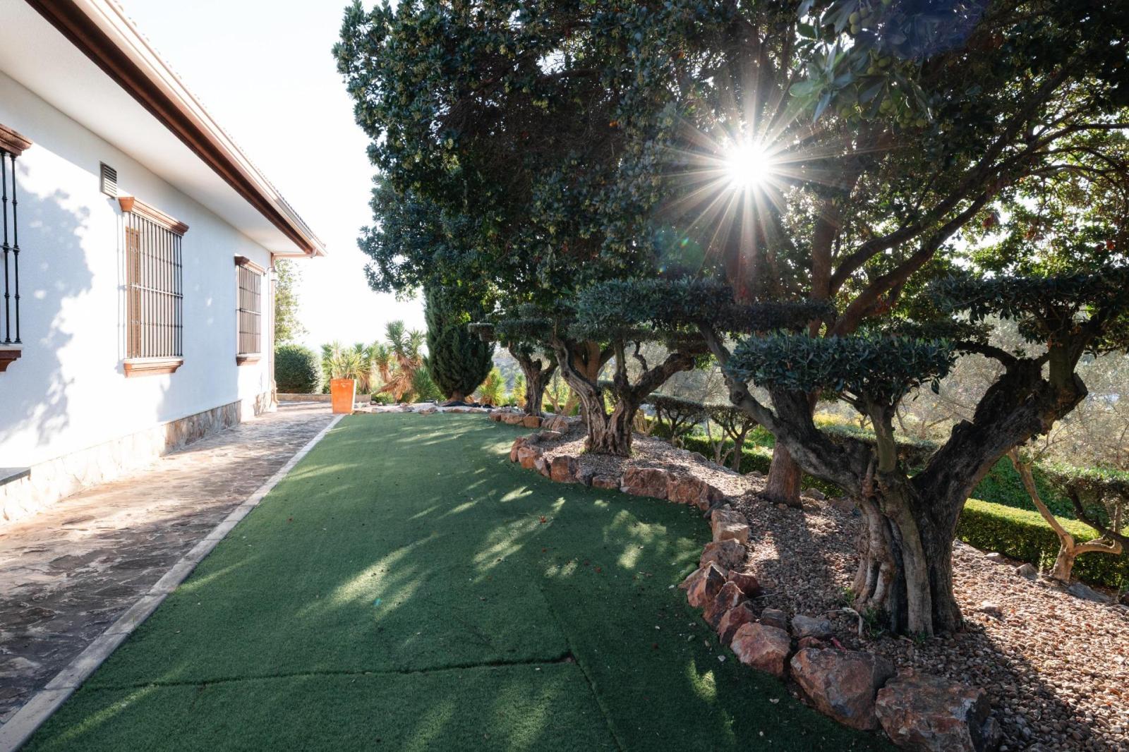 Chalet for Sale in Don Benito