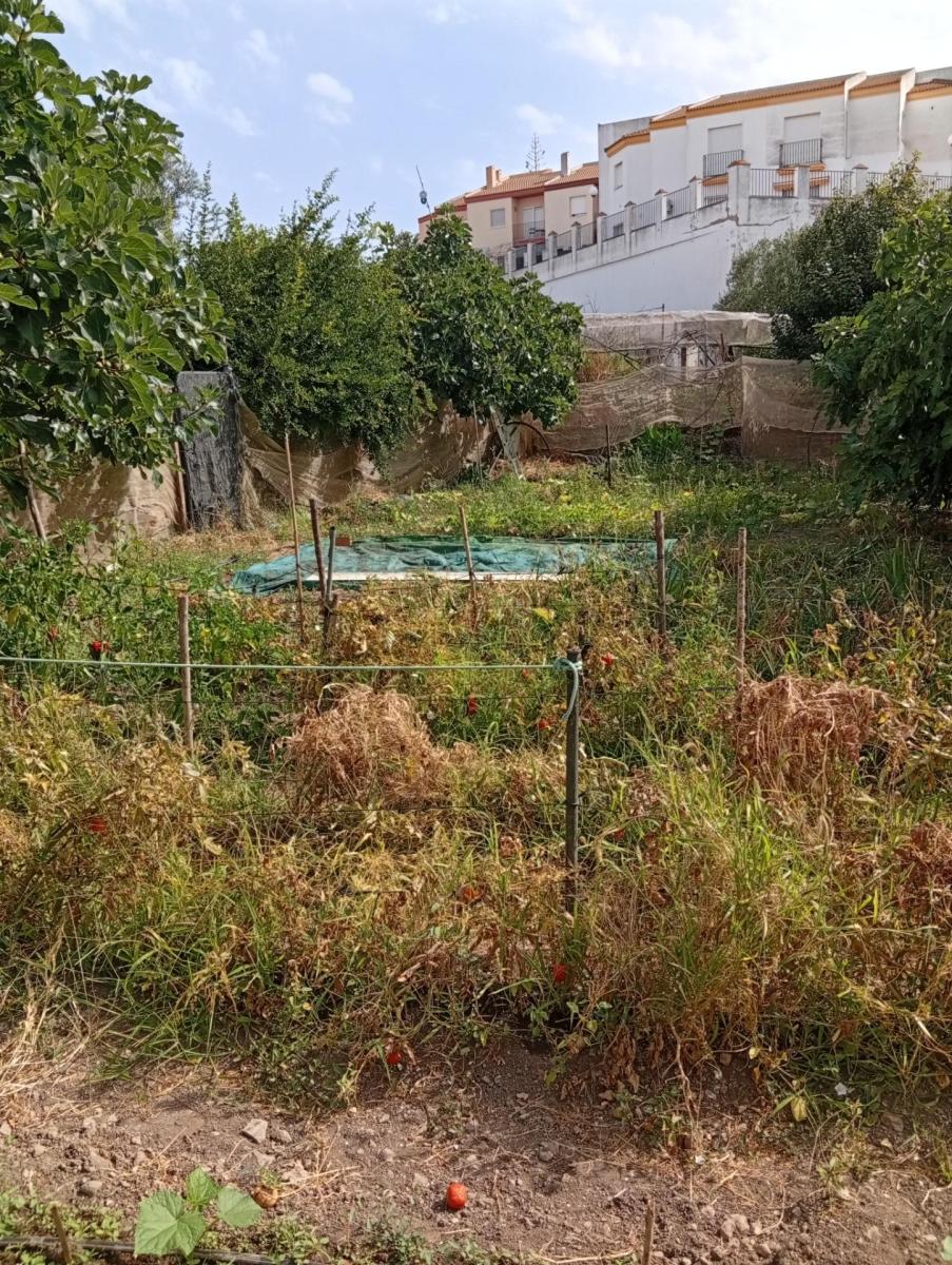 Solar en Venta en Ayamonte