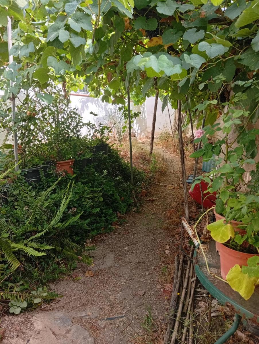 Solar en Venta en Ayamonte