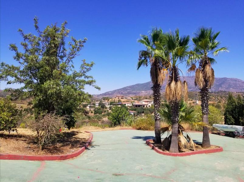 Apartment for Sale in Mijas