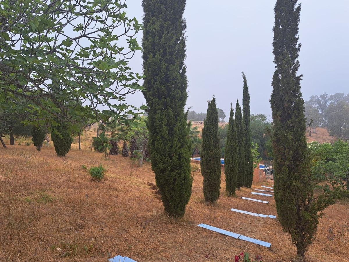 Apartment for Sale in Mijas