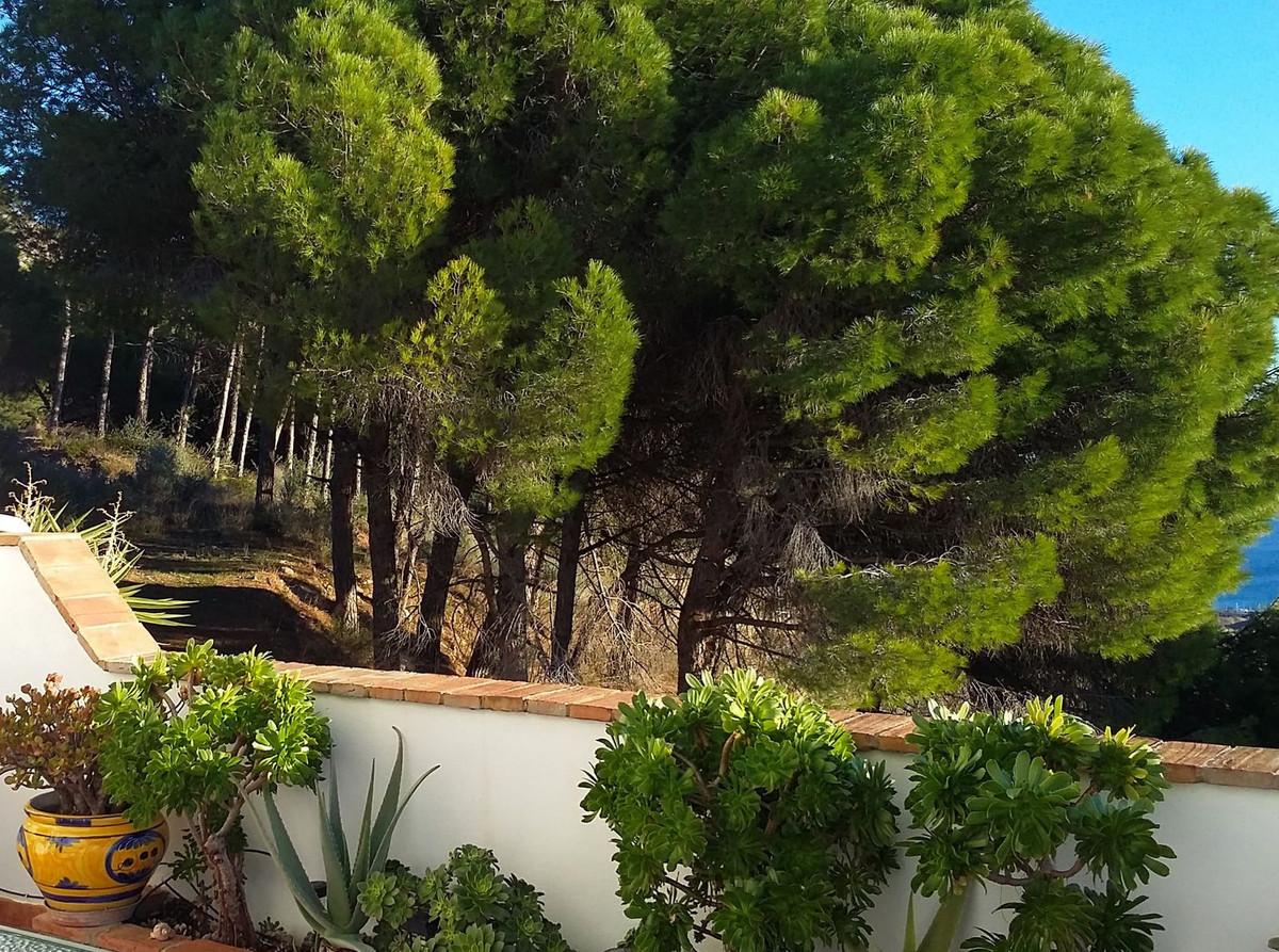 House for Sale in Mijas