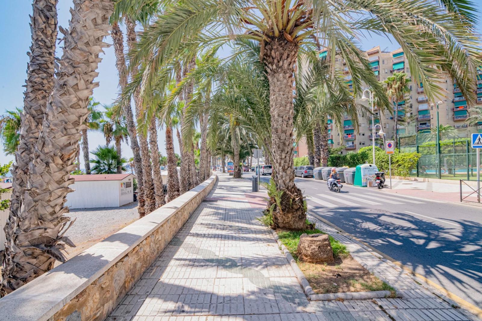 Apartment for Sale in Almuñécar