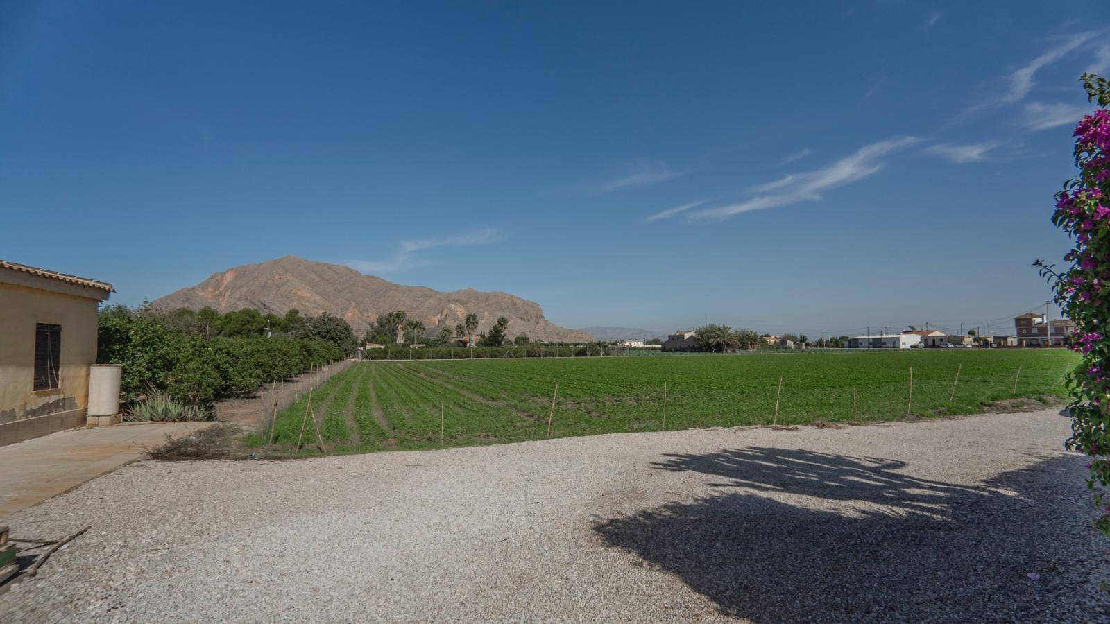 Finca en Venta en Orihuela