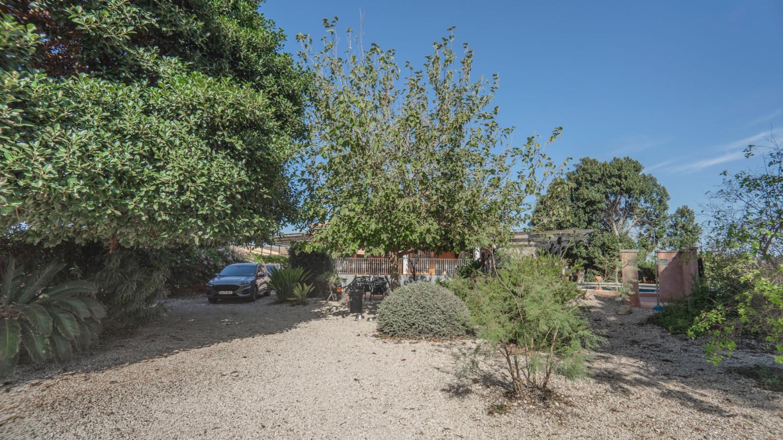 Finca en Venta en Orihuela