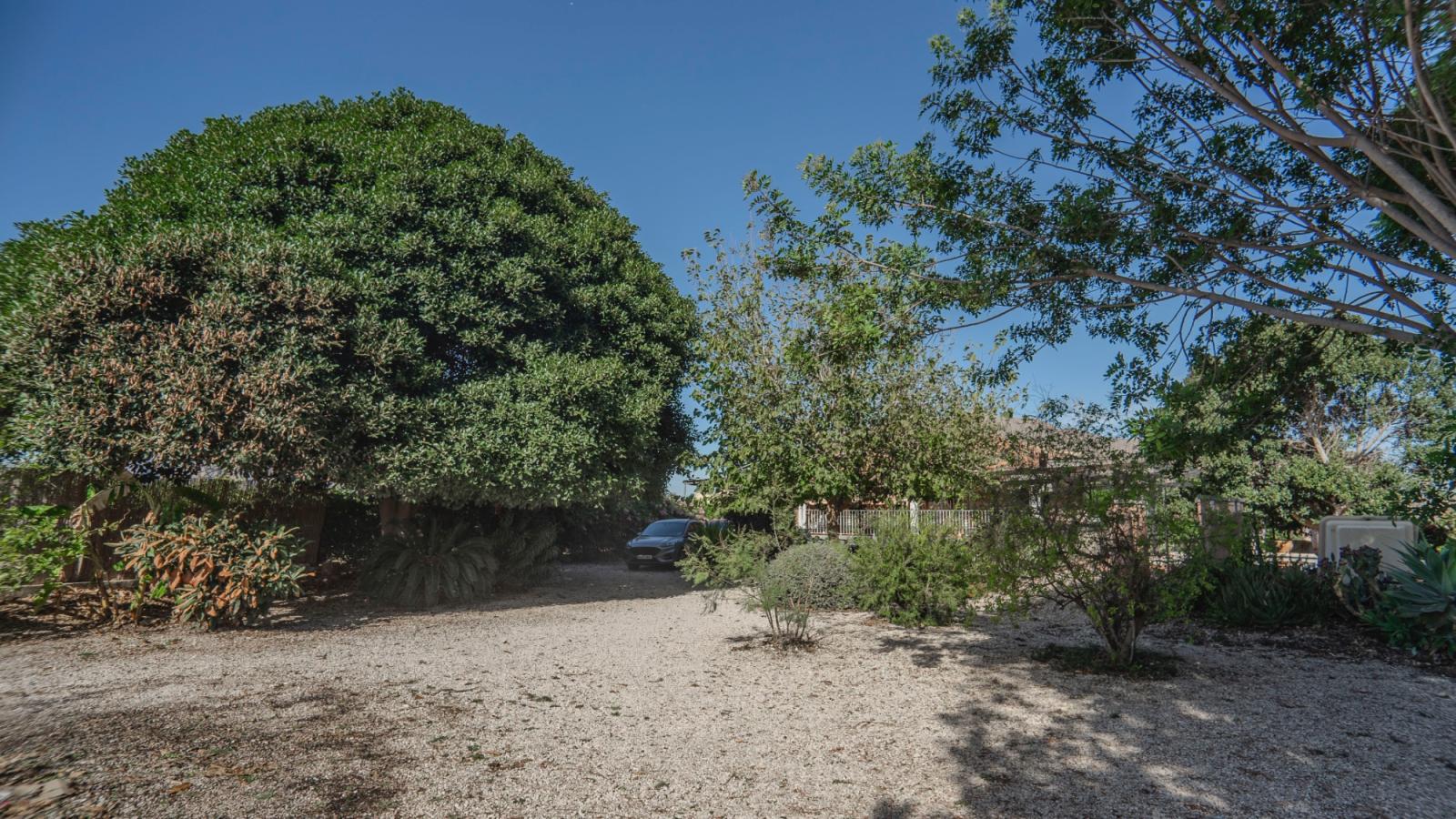 Finca en Venta en Orihuela