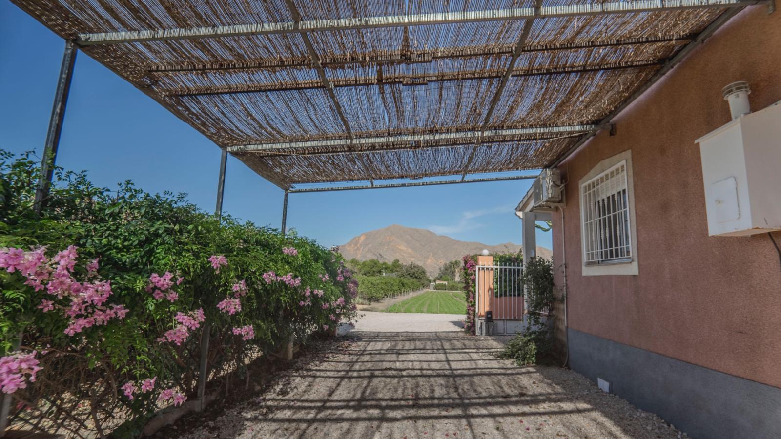 Finca en Venta en Orihuela